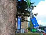TRU樹木雷達、Picus 3和TreeQinetic樹木拉伸測試儀落戶長春市園林植物保護站